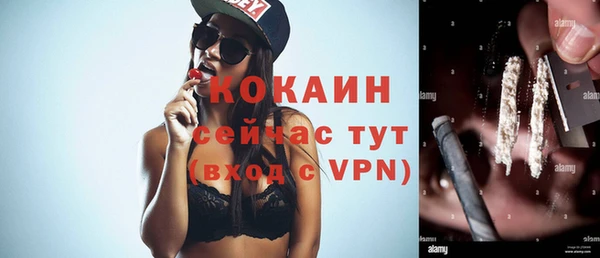 spice Алексин