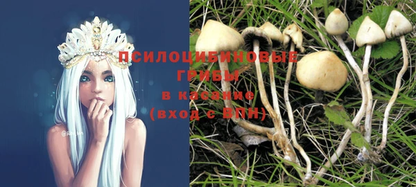 бошки Алзамай