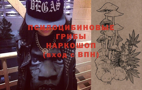 бошки Алзамай