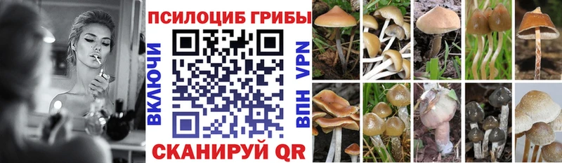 omg сайт  Апрелевка  Псилоцибиновые грибы мухоморы  как найти закладки 